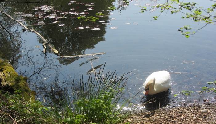 Ein Bild, das drau en, Person, Stuhl, Personen enth lt.

Automatisch generierte Beschreibung