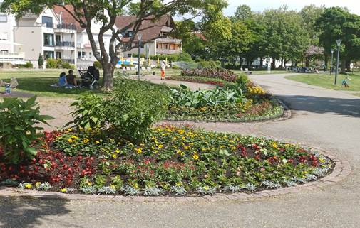 Ein Bild, das drau�en, Baum, Landschaftsgestaltung, Botanischer Garten enth�lt.

KI-generierte Inhalte k�nnen fehlerhaft sein.